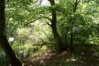 Darß